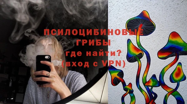 хмурый Алзамай