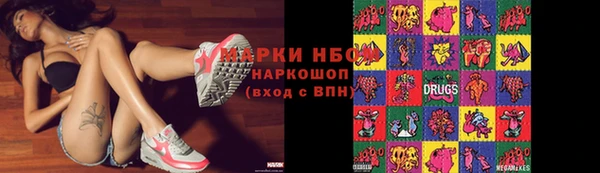 хмурый Алзамай