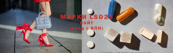 хмурый Алзамай