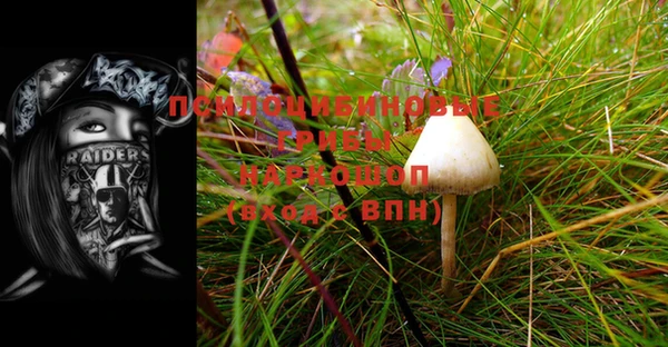бутират Алексеевка