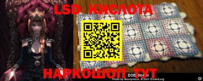 a pvp Боровичи