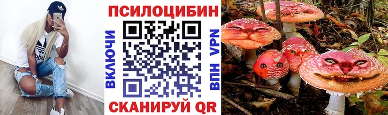 где можно купить   hydra сайт  Псилоцибиновые грибы Magic Shrooms  дарк нет телеграм  Большой Камень 