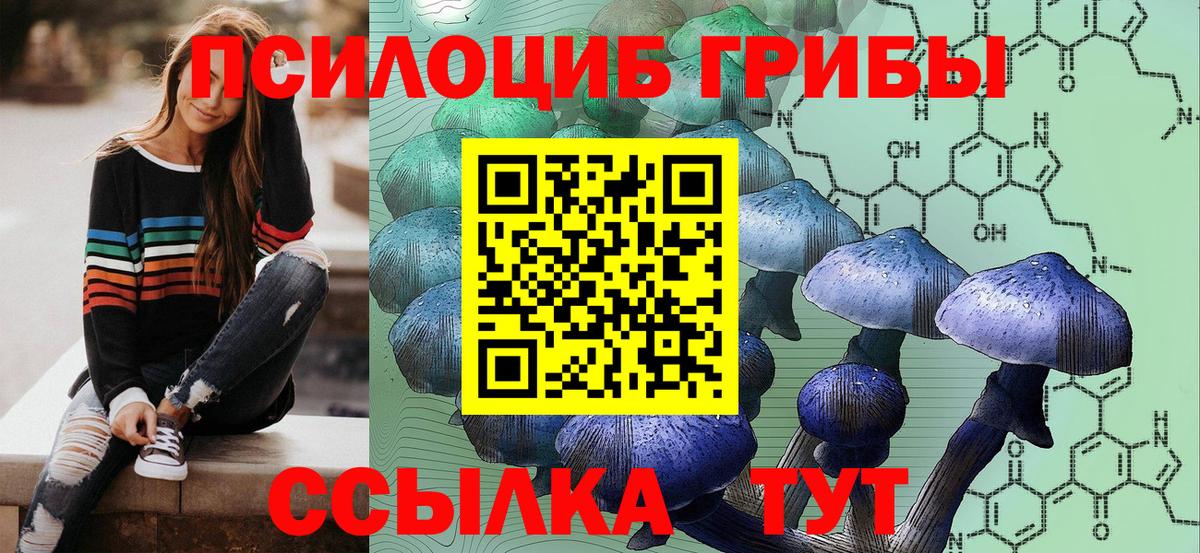 Псилоцибиновые грибы мухоморы  Вход с VPN  Большой Камень 