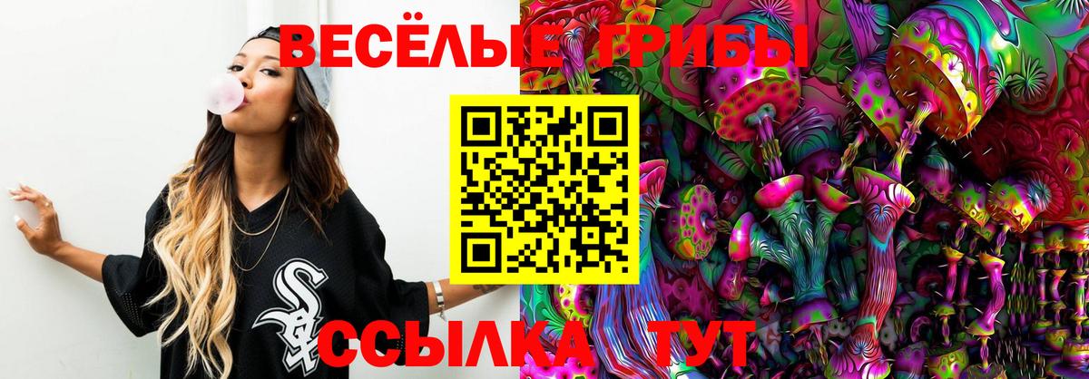 Галлюциногенные грибы MAGIC MUSHROOMS Большой Камень